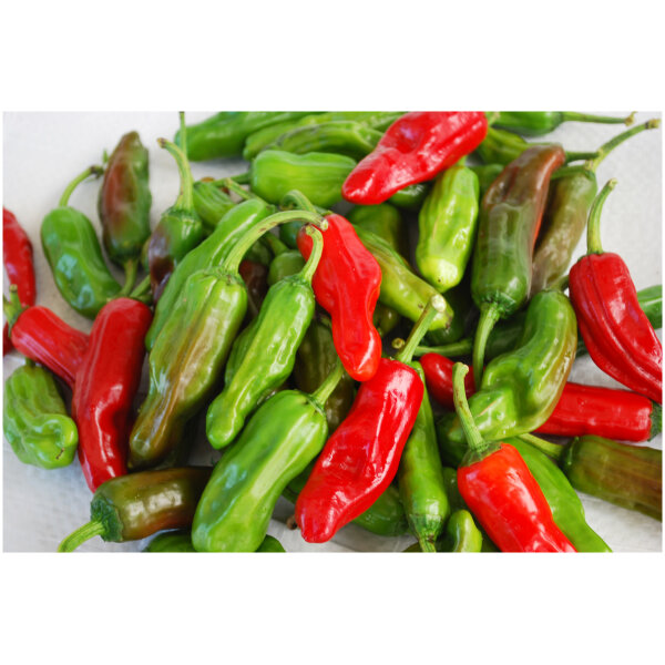 Fresh Kypos Hot Chili Peppers field at Euro Fine Foods